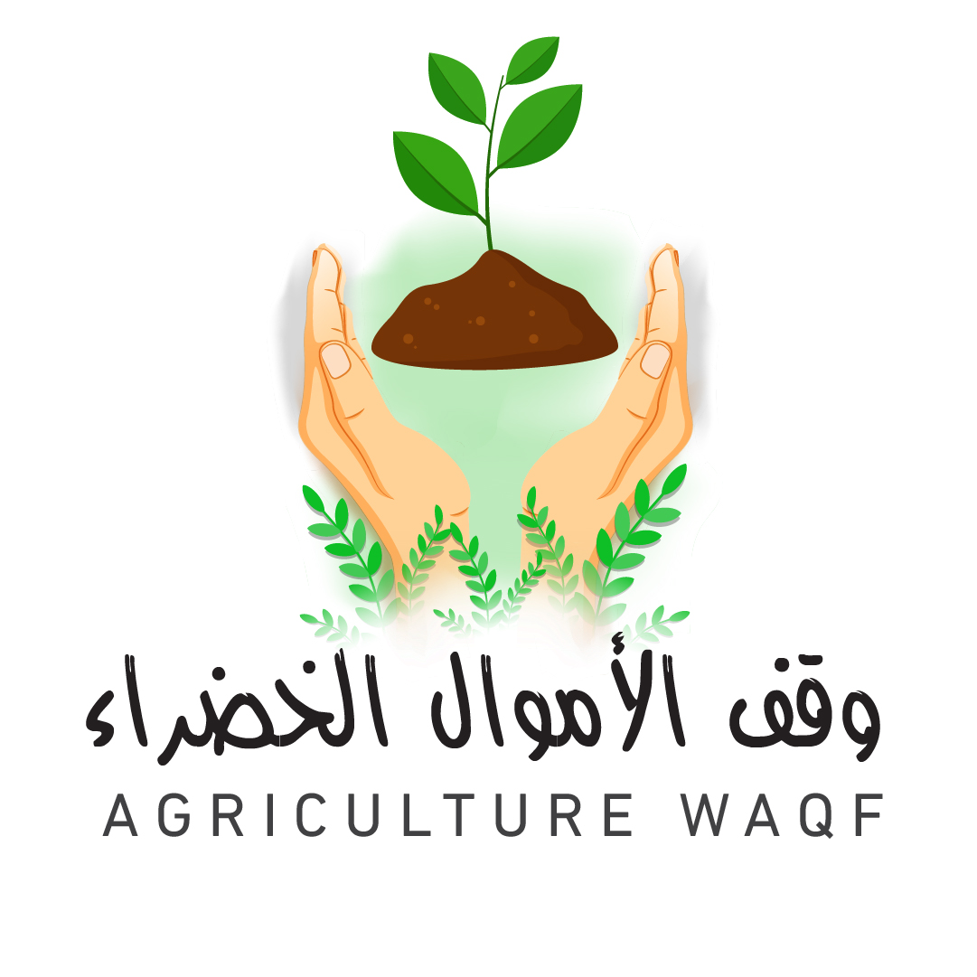  وقف الأموال الخضراء 